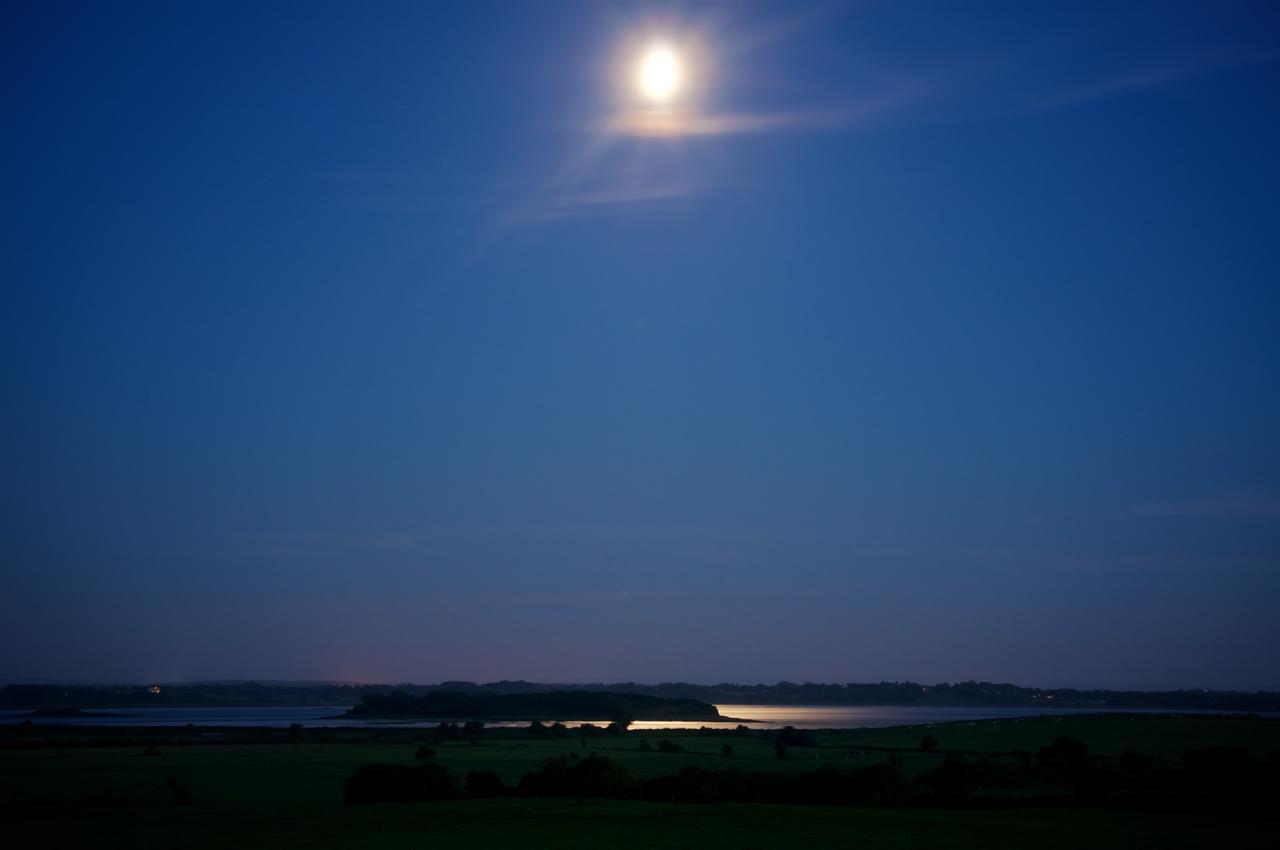 Bunratty Meadows Bed & Breakfast Eksteriør bilde